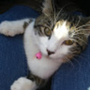 Meet your Posher, Vicky